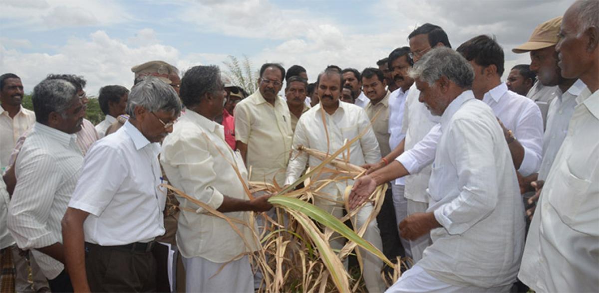 Adopt micro irrigation: Agri Minister to farmers